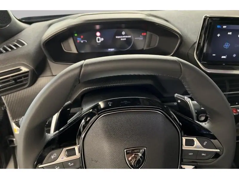 VEHICLE__CONDITION_SERVICE Peugeot 2008 ENVY GREY 12