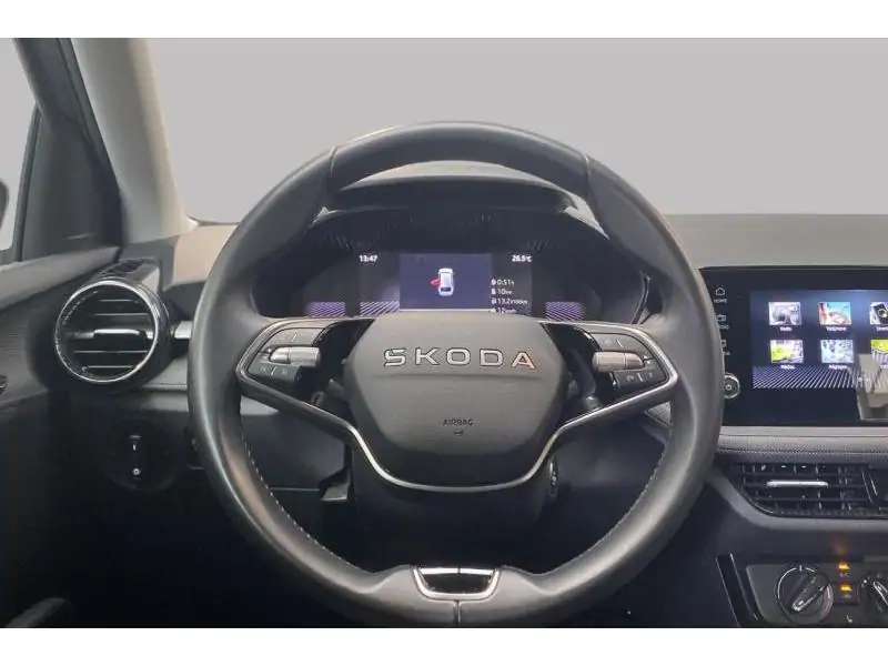 Occasion Skoda Fabia Selection GREY 12