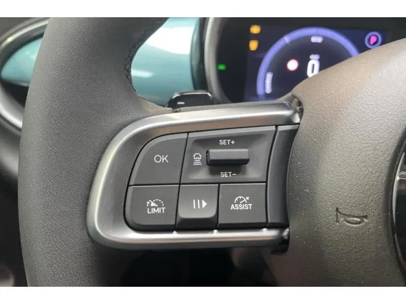 VEHICLE__CONDITION_SERVICE Fiat 600 MY24 GREEN 21