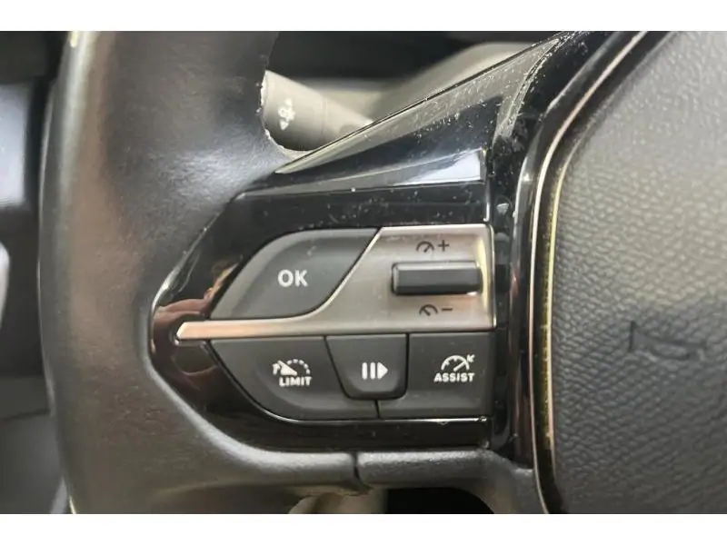 Occasion Peugeot 308 III Active Pack GREY 22