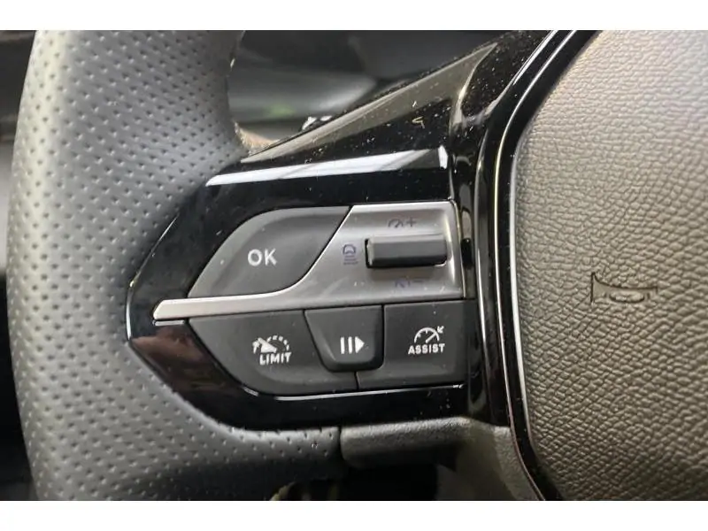 VEHICLE__CONDITION_SERVICE Peugeot 308 SW GT BLUE 25