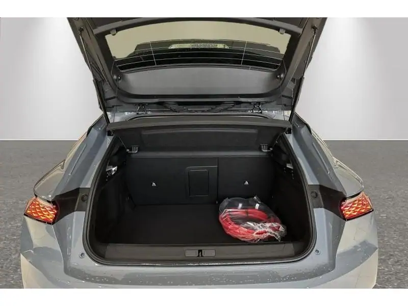 VEHICLE__CONDITION_SERVICE DS Automobiles DS 4 E-TENSE 215 PALLAS GREY 19