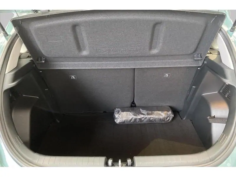 Occasion Hyundai i20 WAVE GREEN 19