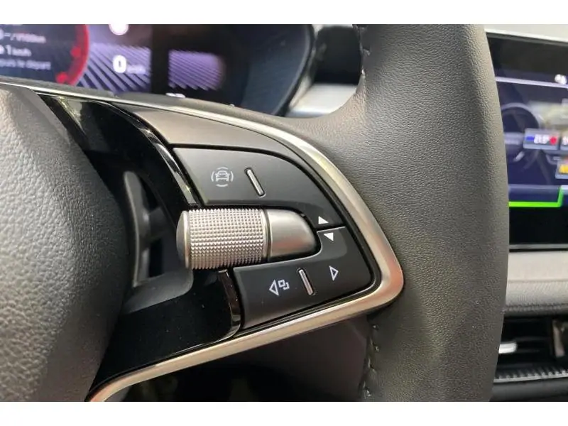 Occasion Skoda Fabia Selection GREY 26