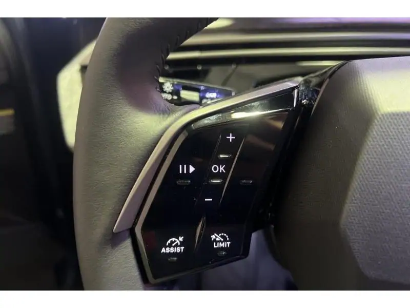 VEHICLE__CONDITION_SERVICE Peugeot 5008 ALLURE BLUE 22