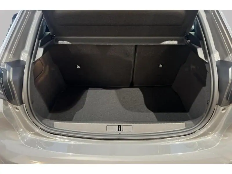 VEHICLE__CONDITION_SERVICE Peugeot 208 Envy GREY 19