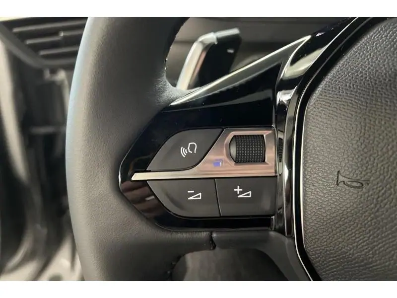 VEHICLE__CONDITION_SERVICE Peugeot 2008 ENVY GREY 25