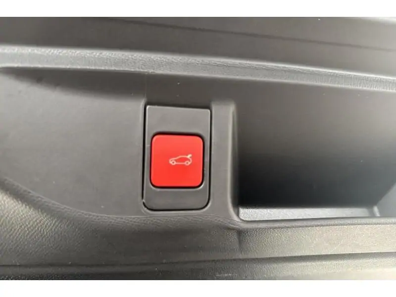 Occasion DS Automobiles DS 4 Performance Line+ - Pano - 225 PK WHITE 21