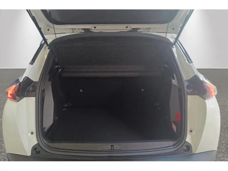 Occasion Peugeot 2008 ACTIVE WHITE 19