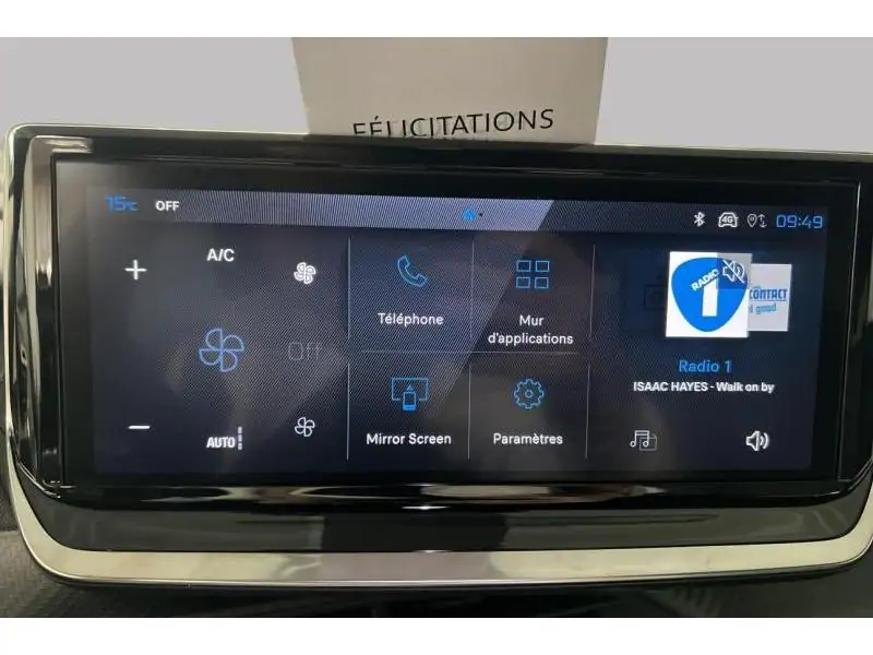 VEHICLE__CONDITION_SERVICE Peugeot 2008 ENVY GREY 13