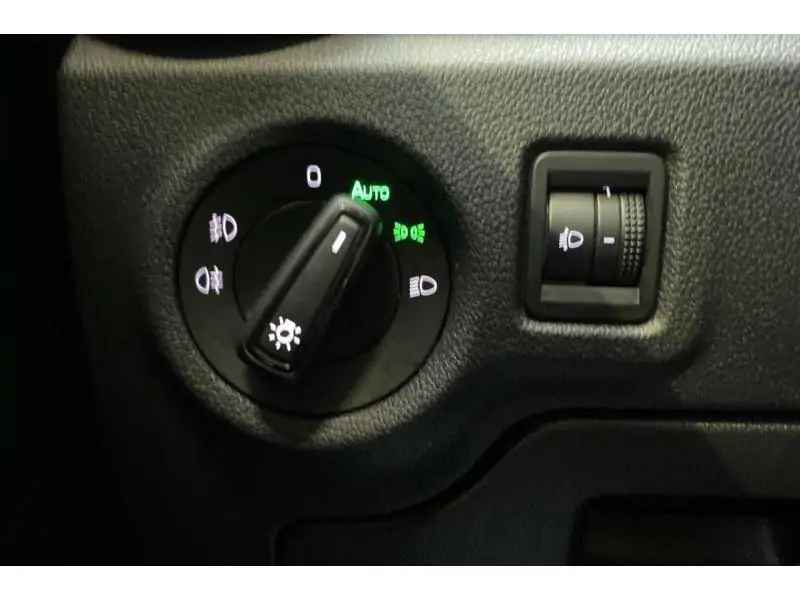 Occasion Skoda Fabia Selection 1.0i GREY 21