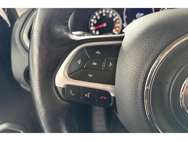 Occasion Jeep Renegade 1.0i 120 Longitude GREY 22