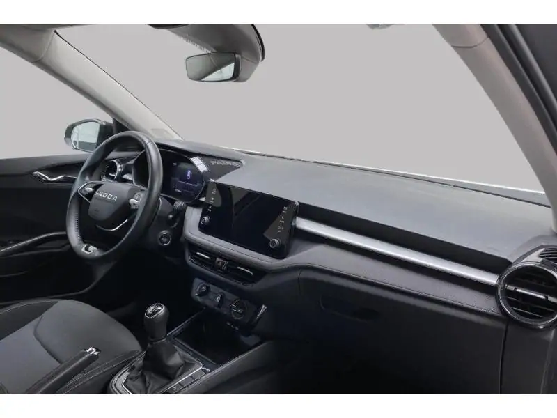 Occasion Skoda Fabia Selection GREY 2