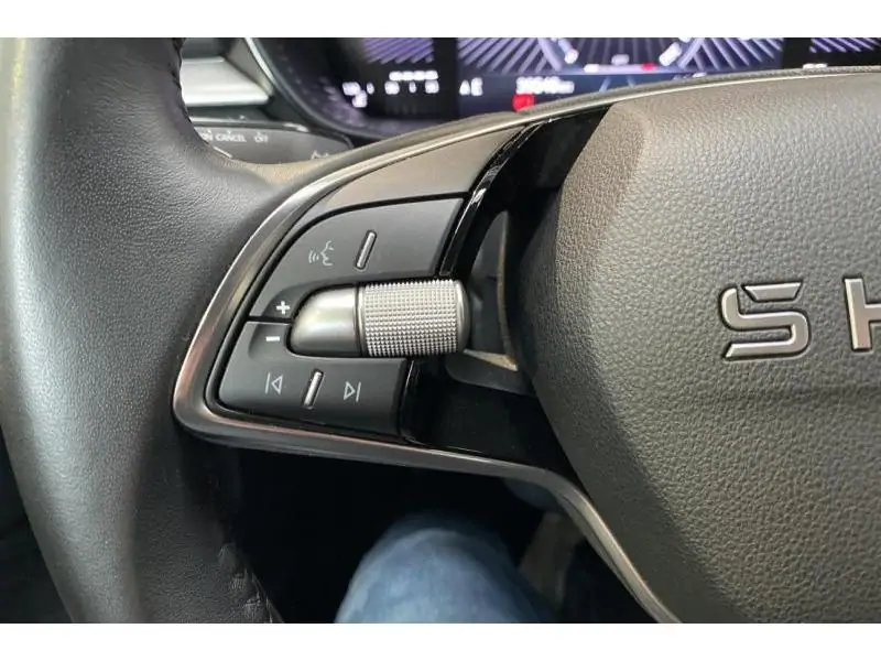 Occasion Skoda Fabia Selection GREY 25