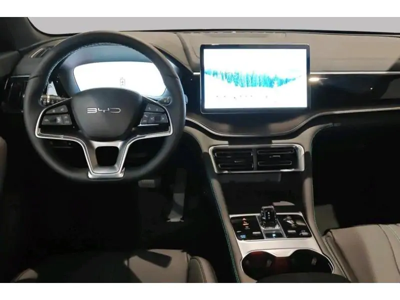VEHICLE__CONDITION_SERVICE BYD Seal U COMFORT GREY 11