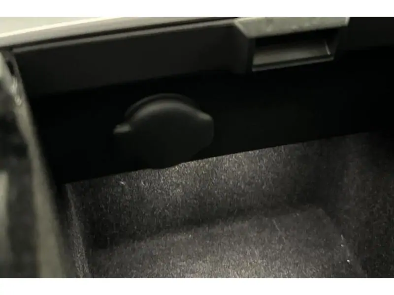 Occasion Tesla Model Y Long Range Dual Motor - 20\\\\ BLACK 24