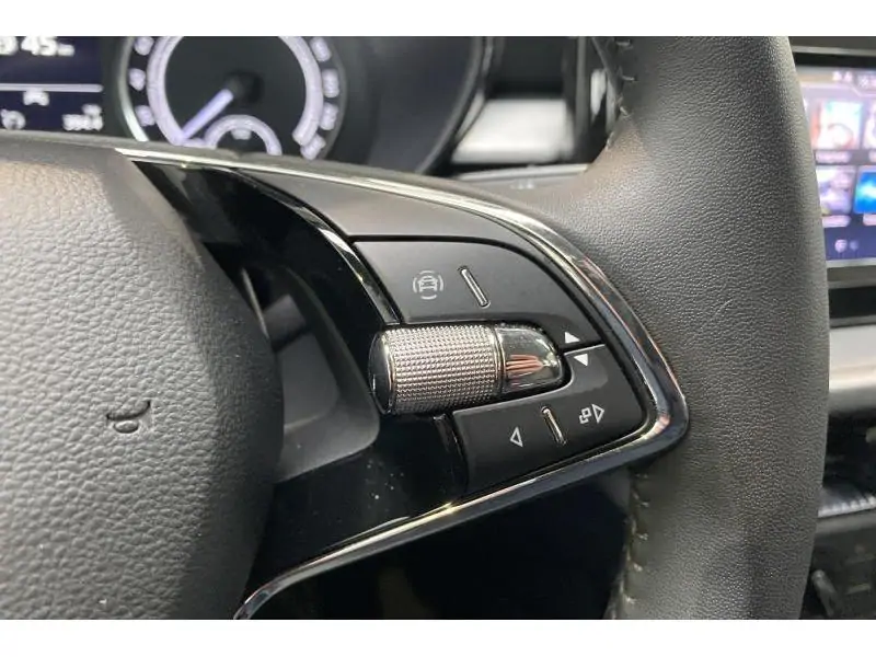 Occasion Skoda Fabia Ambition GREY 23