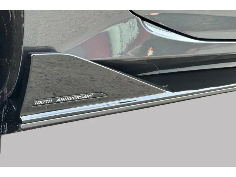 VEHICLE__CONDITION_SERVICE MG CYBERSTER Trophy Extended Rage GREY 33