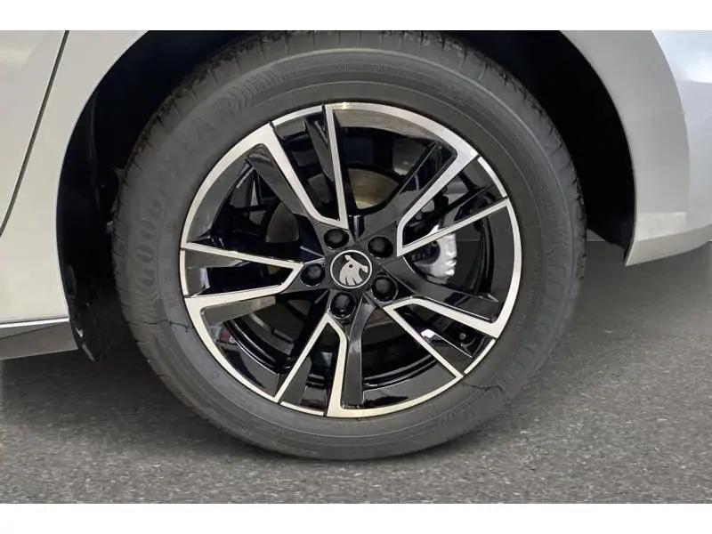 Occasion Skoda Fabia Monte Carlo GREY 20