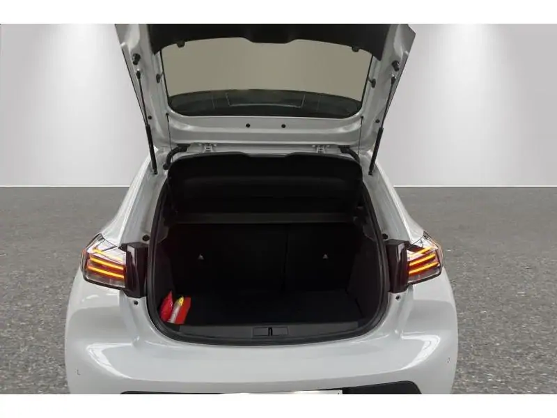 VEHICLE__CONDITION_SERVICE Peugeot 208 STYLE WHITE 19