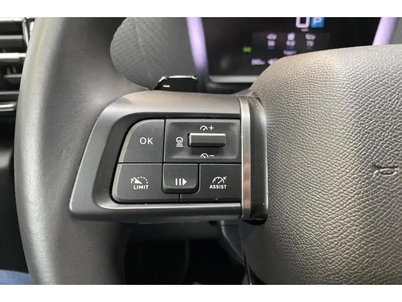 Occasion Citroen C4 Max BLUE 25