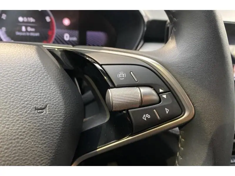 Occasion Skoda Fabia Selection 1.0 TSI DSG GREY 22