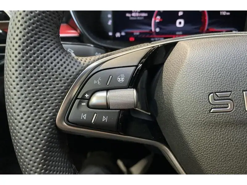 Occasion Skoda Fabia Monte Carlo DSG GREY 22