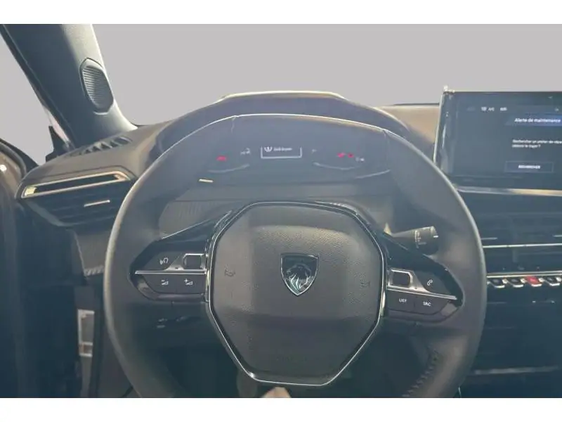 VEHICLE__CONDITION_SERVICE Peugeot 2008 ACTIVE GREY 12