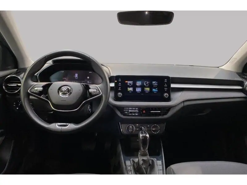 Occasion Skoda Fabia Selection GREY 11