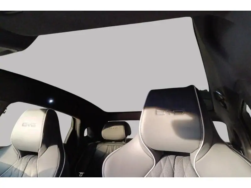 VEHICLE__CONDITION_SERVICE BYD SEAL Design GREY 21