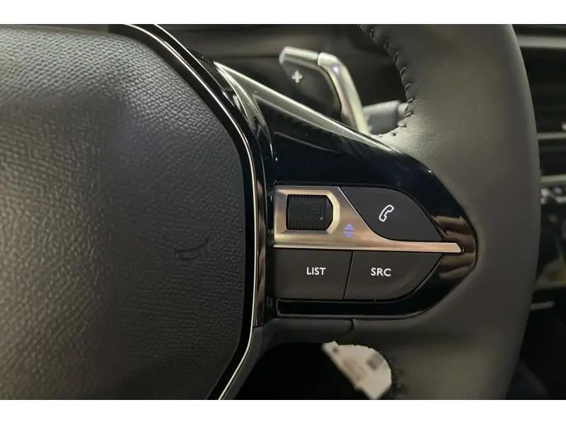 VEHICLE__CONDITION_SERVICE Peugeot 2008 ENVY GREY 26