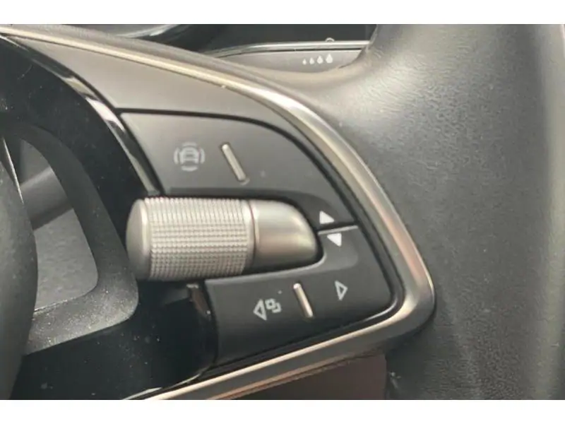 Occasion Skoda Fabia Selection GREY 31