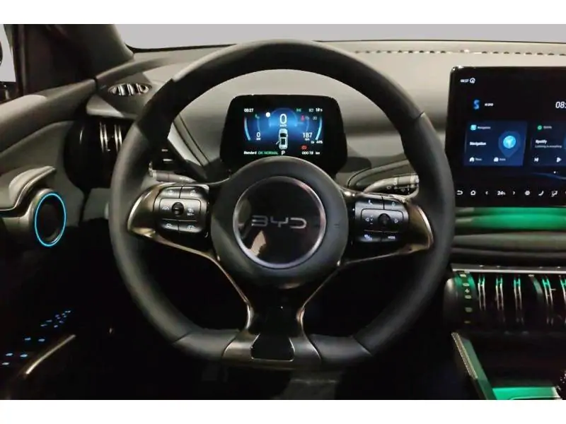 VEHICLE__CONDITION_SERVICE BYD ATTO 3 COMFORT BLACK 12