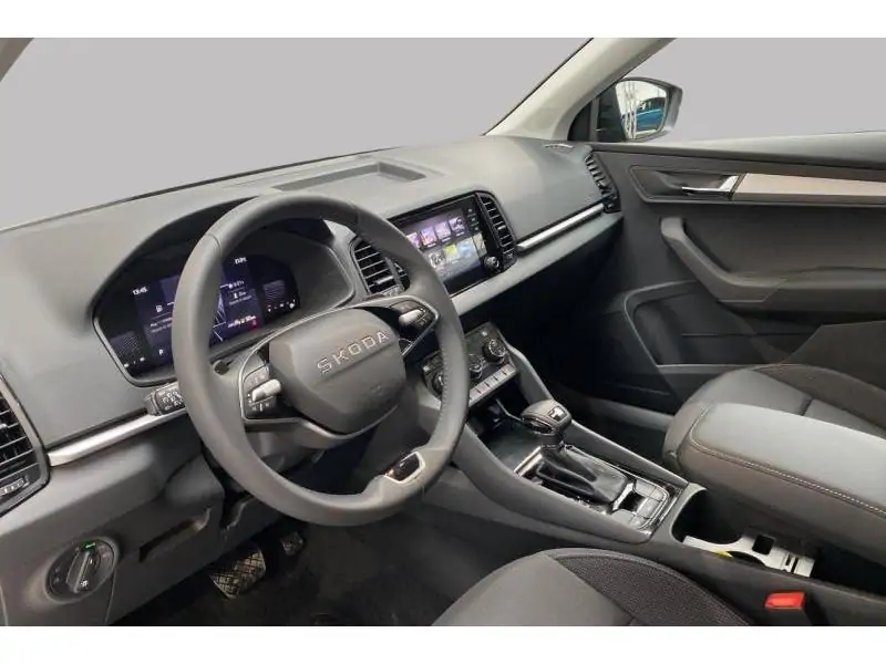 Occasion Skoda Karoq Selection BLACK 9