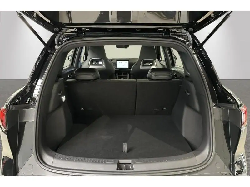 VEHICLE__CONDITION_SERVICE BYD ATTO 2 ACTIVE BLACK 19