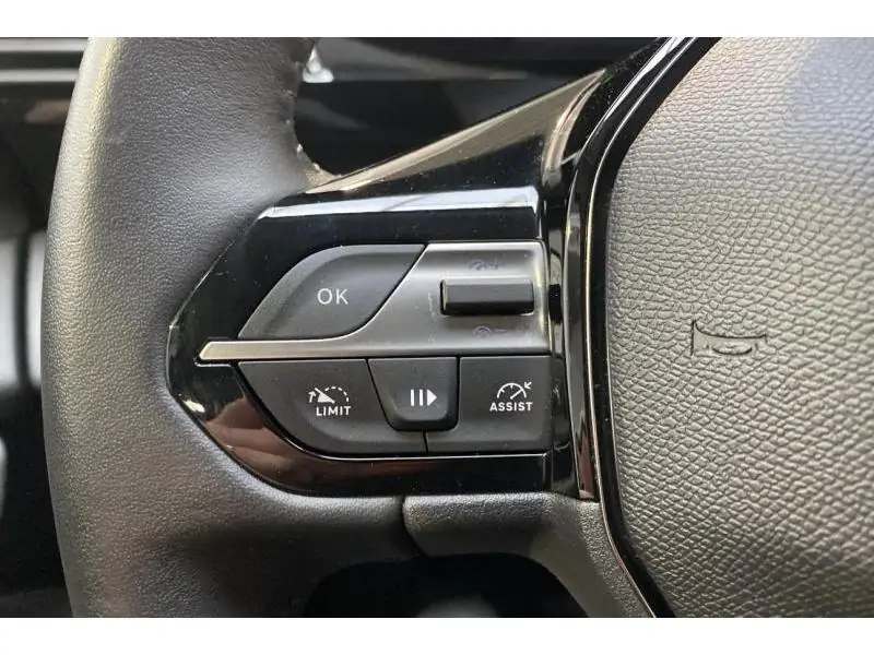 Occasion Peugeot 308 Active BLACK 21