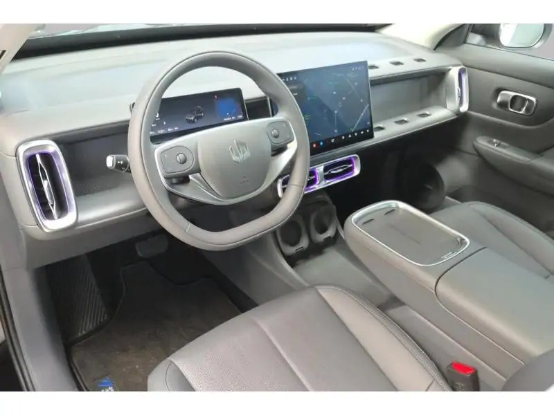VEHICLE__CONDITION_SERVICE Leapmotor B10 DESIGN BLACK 9