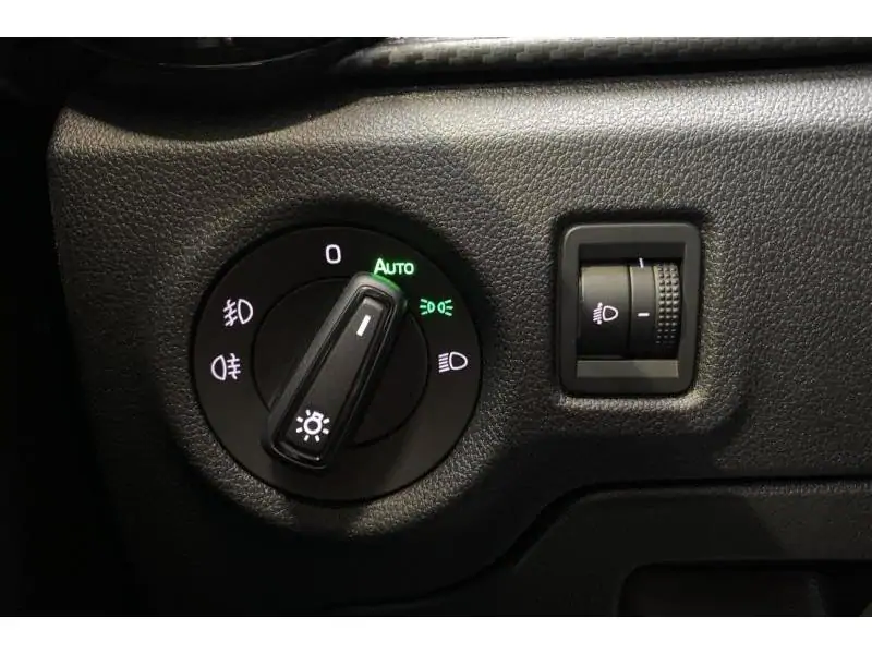 Occasion Skoda Fabia Monte Carlo GREY 22