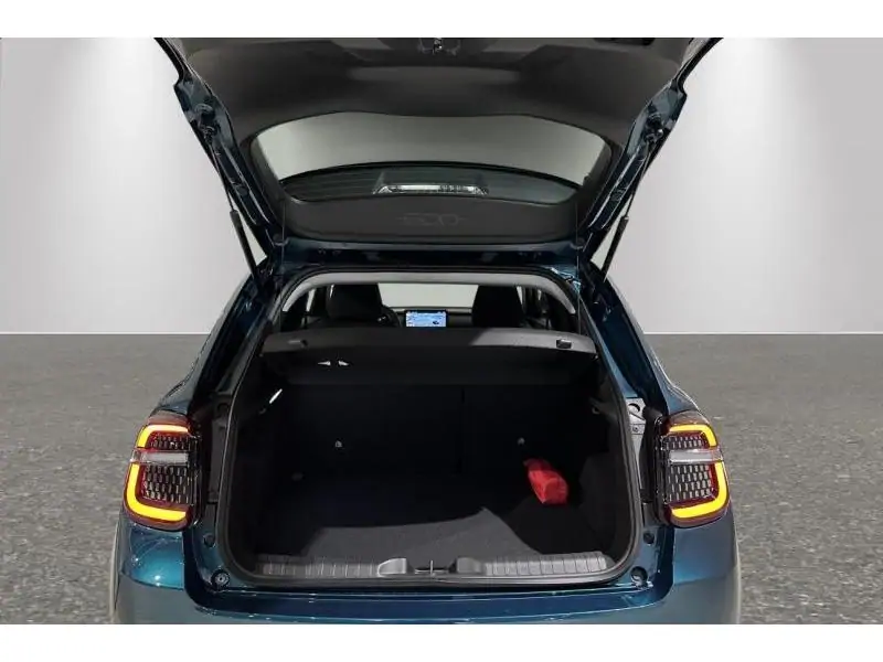 VEHICLE__CONDITION_SERVICE Fiat 600 Hybrid 110pk POP GREEN 19