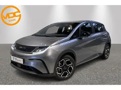 VEHICLE__CONDITION_SERVICE BYD DOLPHIN COMFORT GREY
