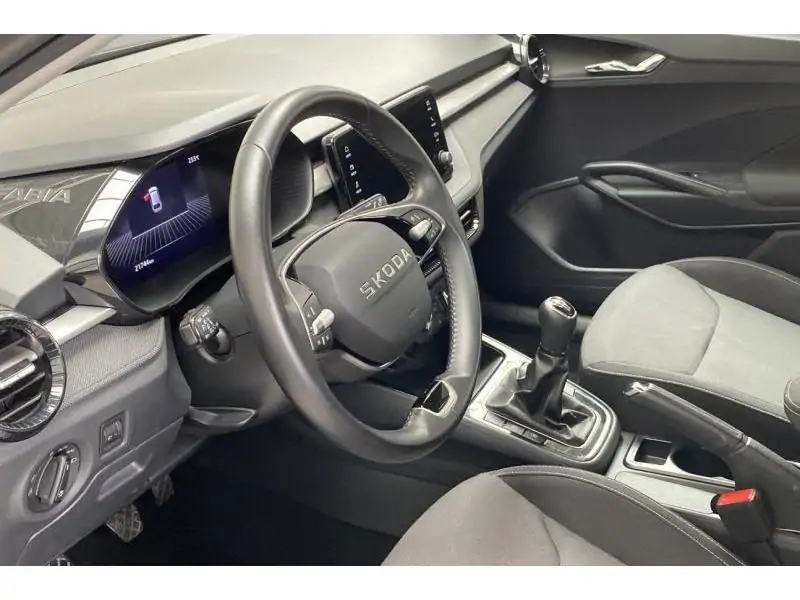 Occasion Skoda Fabia Selection GREY 9