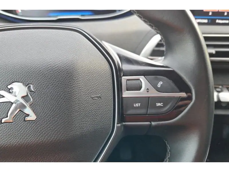 Occasion Peugeot 3008 ALLURE GREY 29