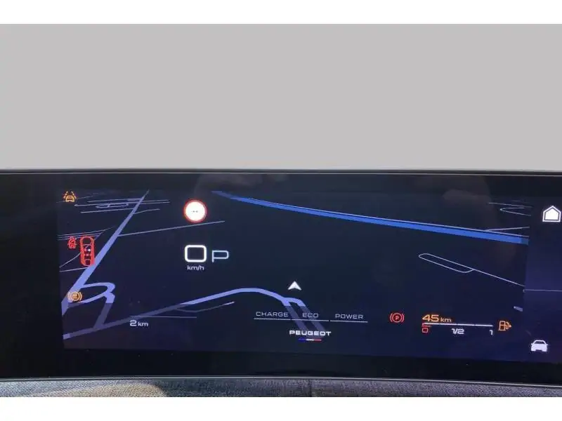 VEHICLE__CONDITION_SERVICE Peugeot 3008 ALLURE GREY 25