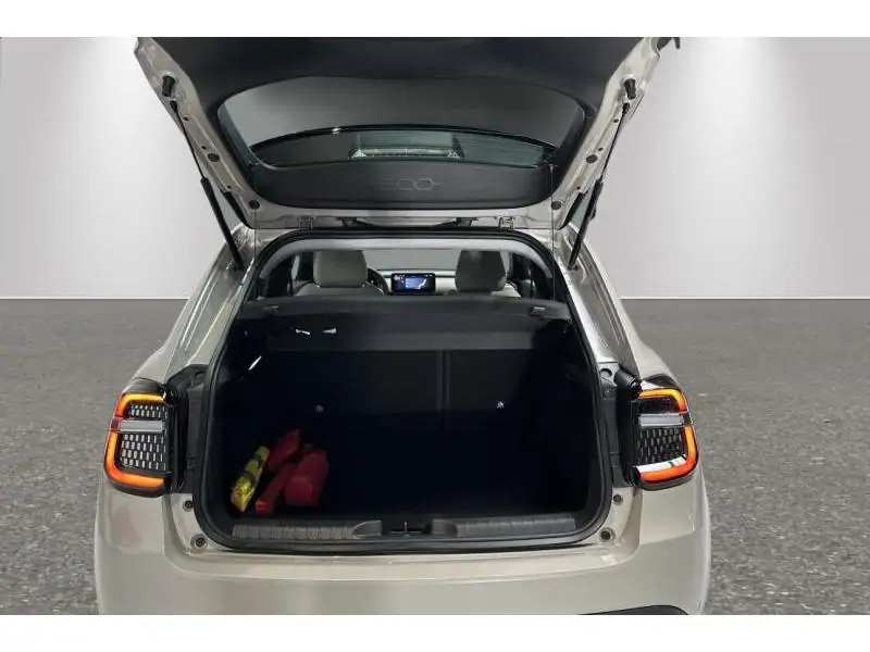 VEHICLE__CONDITION_SERVICE Fiat 600 Hybrid 145pk ICON BEIGE 19