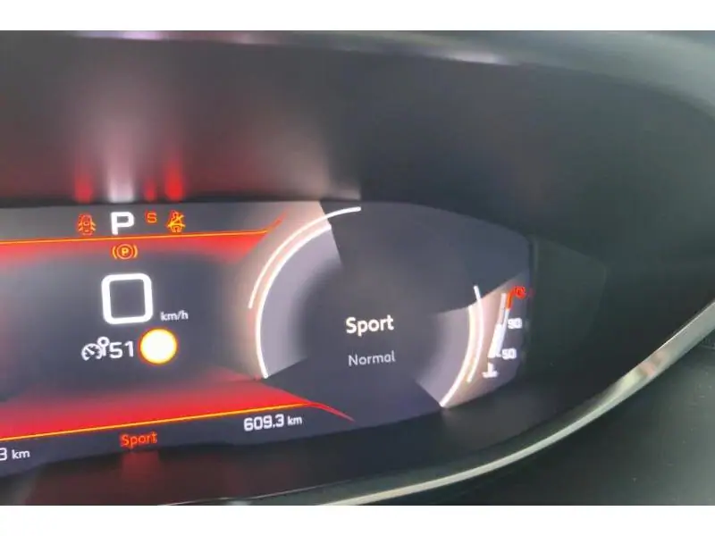 Occasion Peugeot 3008 GT GREY 38