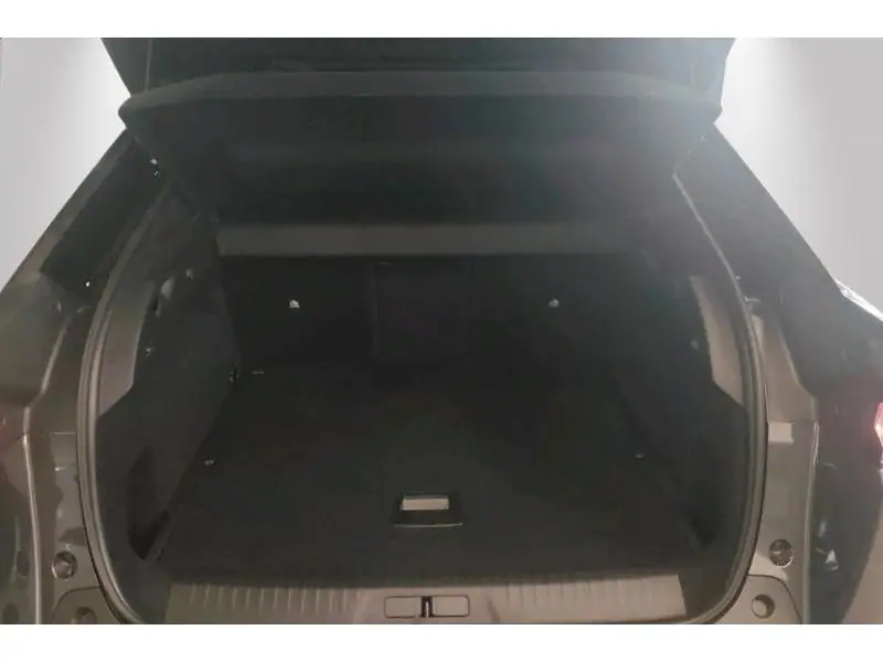 VEHICLE__CONDITION_SERVICE Peugeot 3008 NEW GT GREY 19
