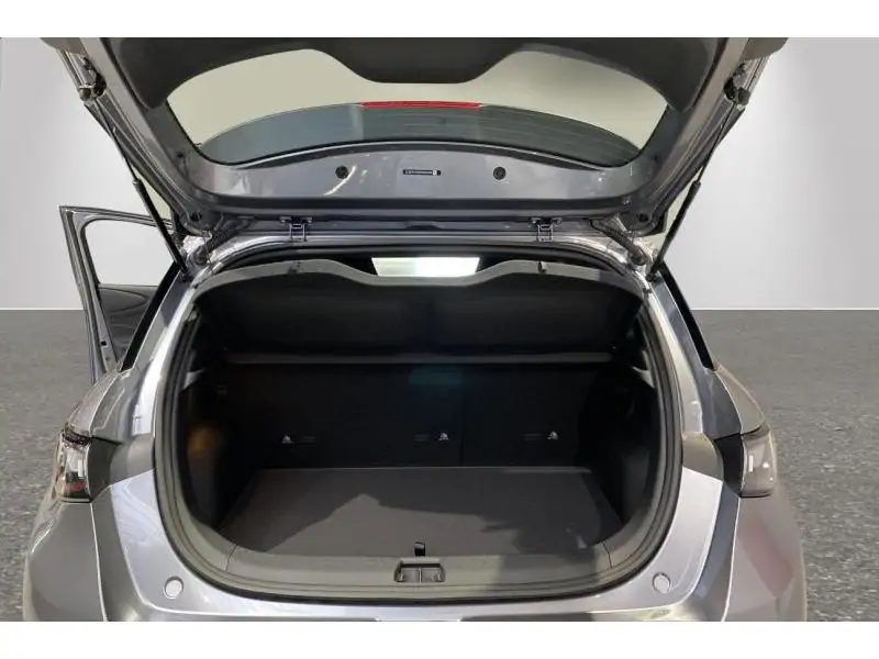 VEHICLE__CONDITION_SERVICE BYD DOLPHIN COMFORT GREY 19