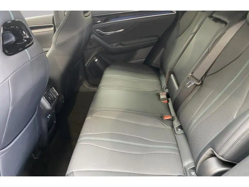 VEHICLE__CONDITION_SERVICE BYD SEAL U DM - I BOOST BLACK 18