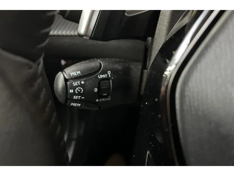 VEHICLE__CONDITION_SERVICE Peugeot 2008 ENVY GREY 24