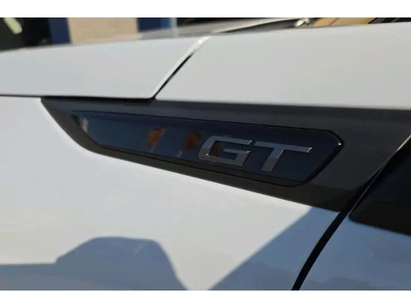 VEHICLE__CONDITION_SERVICE Peugeot 2008 GT WHITE 22